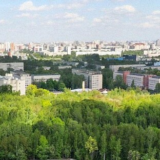 Статистика Дзен Недвижка spb. Алексей Резенков