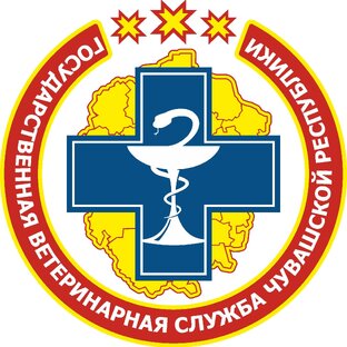 Статистика Дзен Госветслужба Чувашии