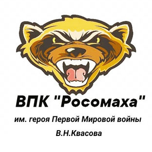 Статистика Дзен Военно- патриотический клуб "Росомаха" им. Героя Первой Мировой войны В.Н.Квасова