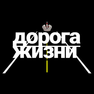 Статистика Дзен Дорога Жизни