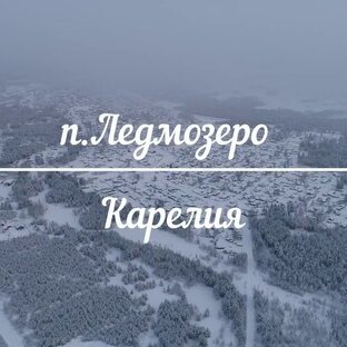 Статистика Дзен tereca.cherenko