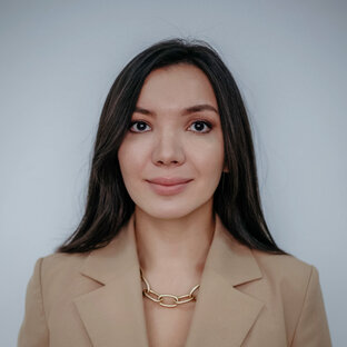 Статистика Дзен SAFAROVADOM - посуточная аренда коттеджей в Москве и Московской области