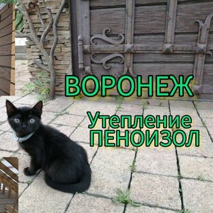 Статистика Дзен ТЕПЛО В ДОМ