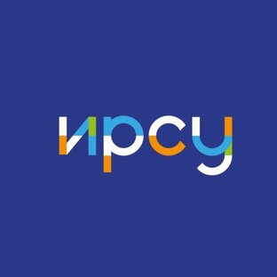 Статистика Дзен irsu.info