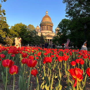 Статистика Дзен Санкт-Петербург ❤️