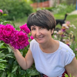 Статистика Дзен Инна Зенченко