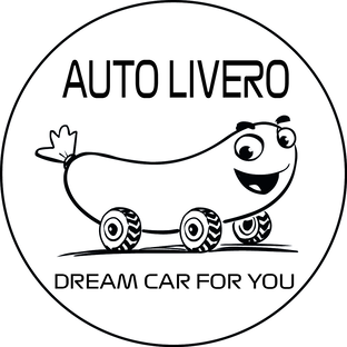 Статистика Дзен AUTOLIVERO