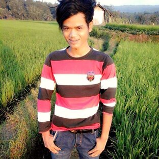 Дзен Арив Занк статистика