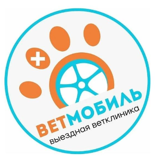 Статистика Дзен ВетМобиль