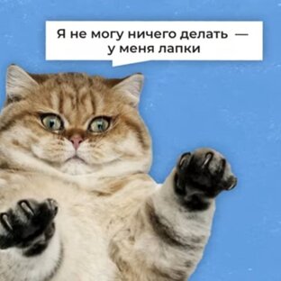 Дзен ps.oZiris статистика