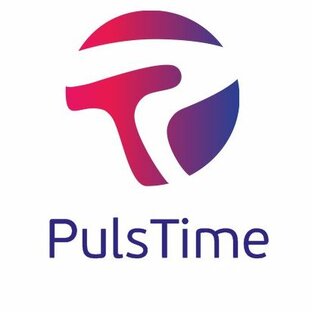 Статистика Дзен Интернет магазин PulsTime