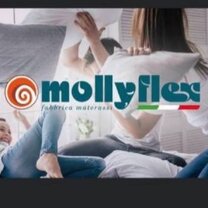 Standard Fissa – Mollyflex