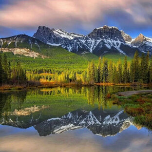 Дзен приколы и анекдоты статистика