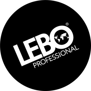 Дзен LEBO Professional статистика