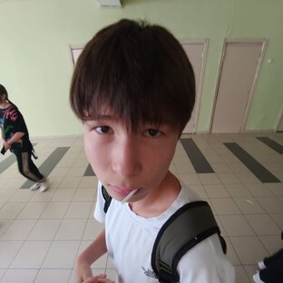 Дзен Dжyza статистика