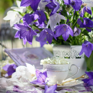 Дзен Все о жизни экскурсовода, переводчика статистика