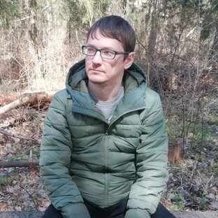 Статистика Дзен Удалёнщик на прогулке