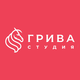 Статистика Дзен Грива Студия