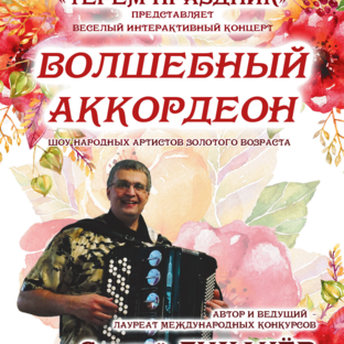 Статистика Дзен Сергей Лихачёв, кнопочный аккордеон