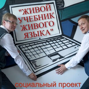Статистика Дзен Живой Учебник Живого Языка