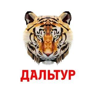 Статистика Дзен ДАЛЬТУР