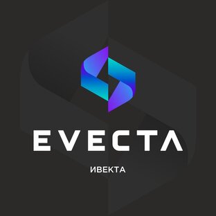 Статистика Дзен Сеть АЗС EVECTA