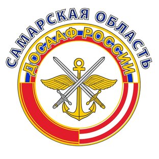 Статистика Дзен РО ДОСААФ России Самарской области