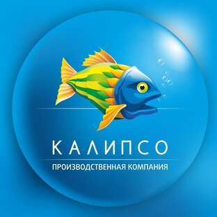 Статистика Дзен КАЛИПСО: стенды, которые учат