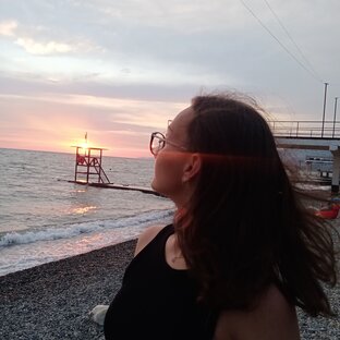 Дзен Полина Притыкина статистика