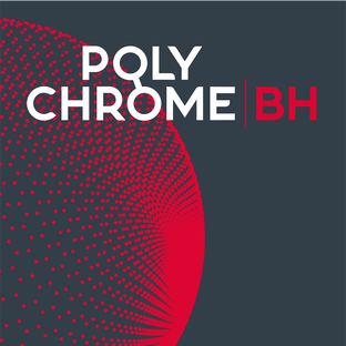 Статистика Дзен POLYCHROME BH