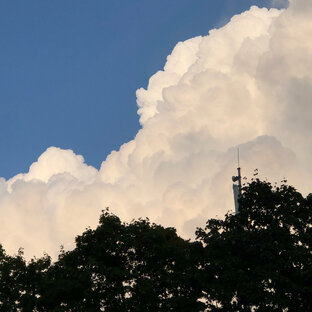 Дзен Shirokiy статистика