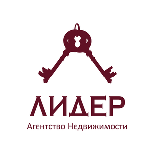 коммерческая недвижимость логотип. ан лидер. ан лидер. лидер агентство недвижимости. ан лидер.
