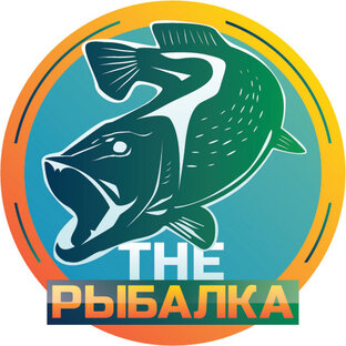 Статистика Дзен Наши Увлечения