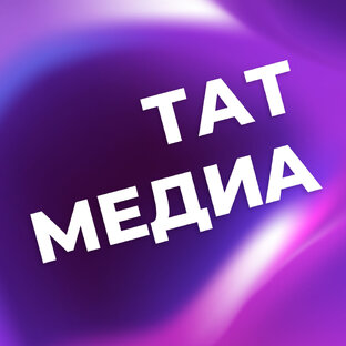 Статистика Дзен ТАТМЕДИА