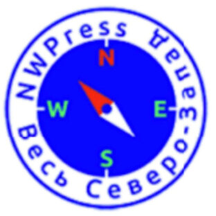 Дзен NWPress статистика