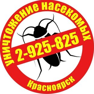 Статистика Дзен Уничтожение тараканов Красноярск ☎ 8-908-212-58-25