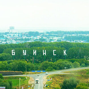 Статистика Дзен НОВОСТИ БУИНСКОГО РАЙОНА