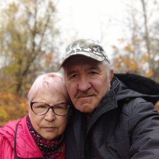 Статистика Дзен Сахалин далекий и  близкий.