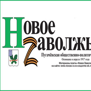 Статистика Дзен Газета Новое Заволжье