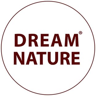 Статистика Дзен DREAM NATURE