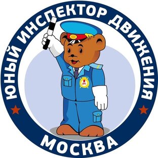 Статистика Дзен Городской оператор по профилактике ДДТТ