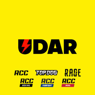 Статистика Дзен Телеканал UDAR