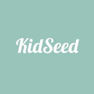 Статистика Дзен KidSeed.ru