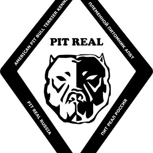 Статистика Дзен PIT REAL / Пит Реал питомник питбулей