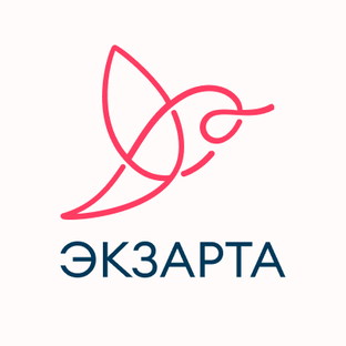 Статистика Дзен Сеть центров медицинской реабилитации "Экзарта"