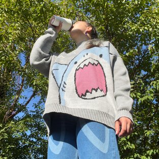 Дзен Lera ❣️ статистика