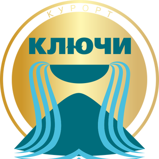Статистика Дзен Курорт Ключи