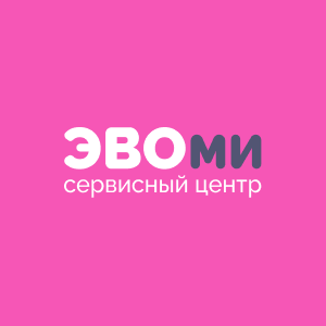 Статистика Дзен ЭвоМи