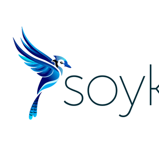 Статистика Дзен Soykasoft