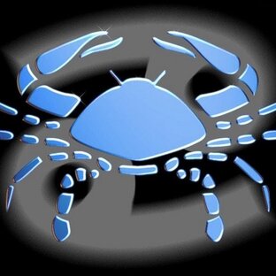 Дзен Muxon15 статистика